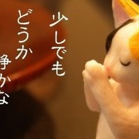 酒飲んでる場合じゃねぇ Shin 断酒 依存性 メンタル疾患改善 Note