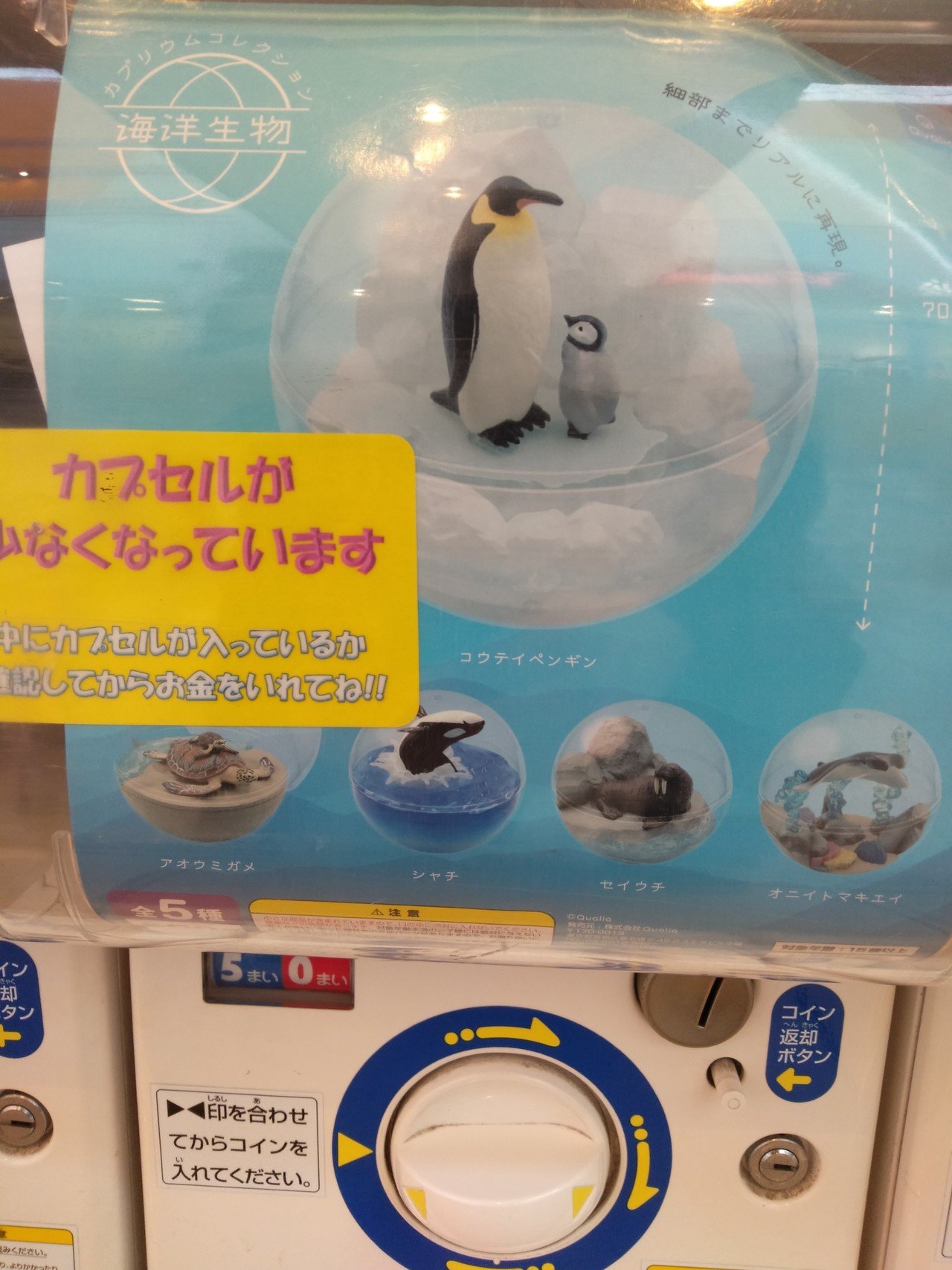 人気のガチャガチャ 海洋生物 500円 とにかくシャチが清涼感もあるしカッコいい メインにすえるのはペンギンじゃなくてシャチでしょうに でも 売れてるみたい オレたち 鳥裸族 Note