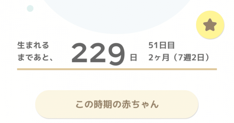 流産の記録 閲覧注意 Az 40歳からの不妊治療 Note