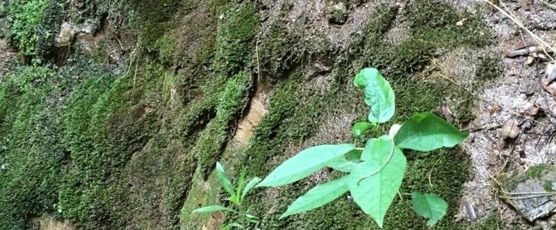 軽率組合、また旅に出る。