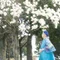 白木蓮ハクモクレン｜繊細さが開く豊かな暮らしへ｜共感コミュニケーション