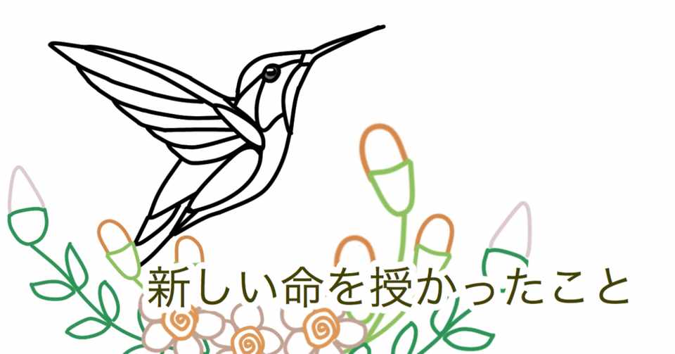 画像のご利用ありがとう みっちゃんさん Atelier Hanami 刺繍とイラストと Note