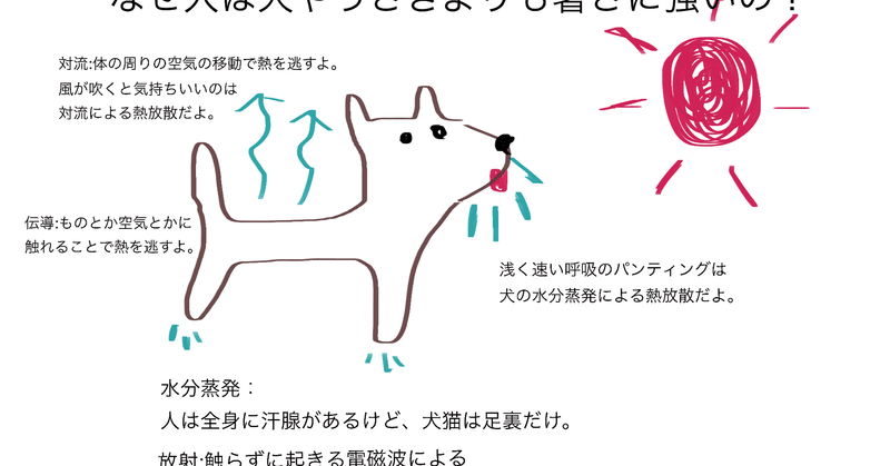 暑い夏 動物はどうやって体温を下げる 獣医師ふーの 獣医さんとやってみよう自由研究 Note