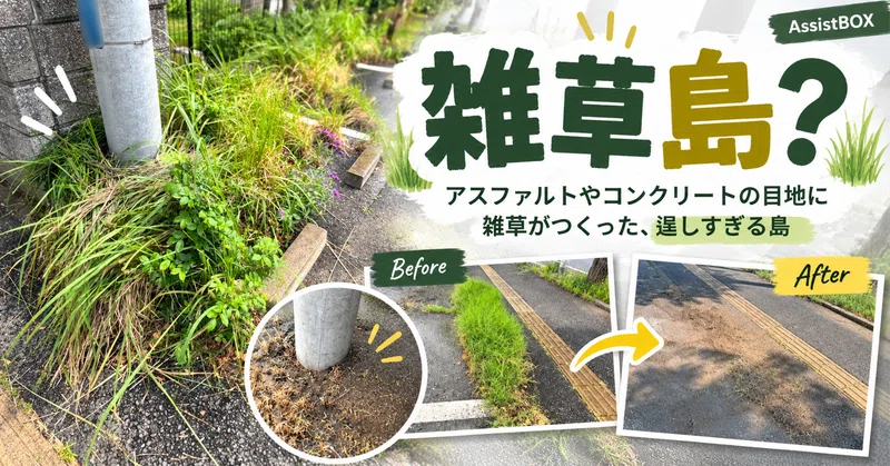 ブログ用画像