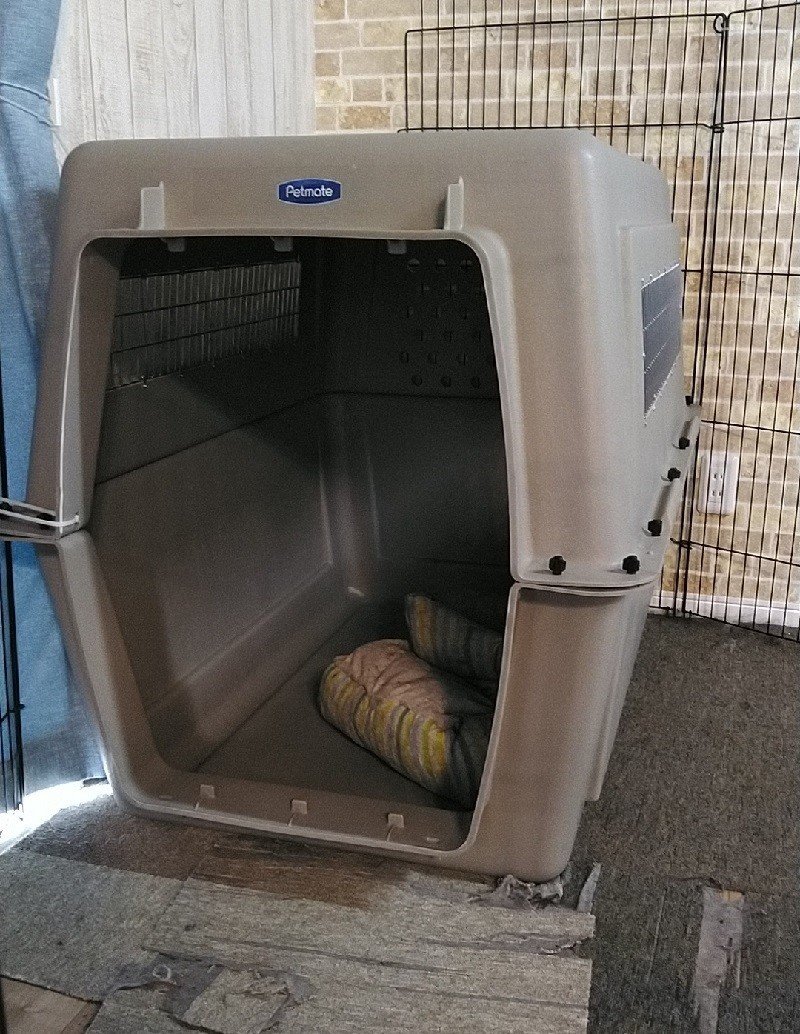 クレート使ってますか こなき屋 Note