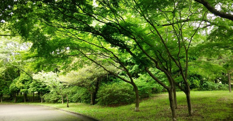 ワンガリ マータイさん の新着タグ記事一覧 Note つくる つながる とどける