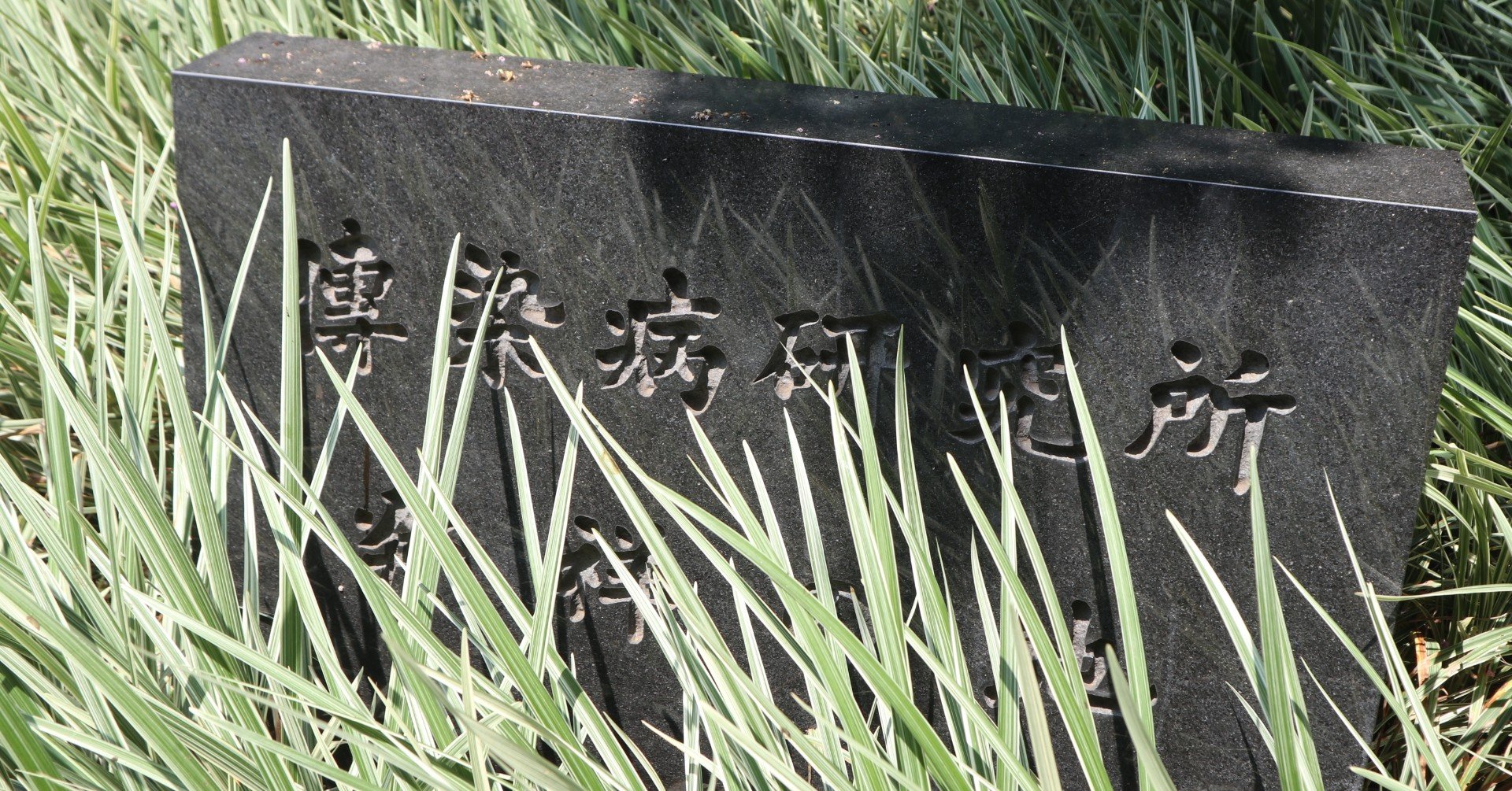 傳染病研究所　近代医学開拓の道のり 20110412_050-150x150.jpg