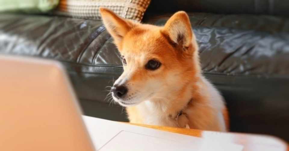 家でバイトができる コロナだからこそ始める在宅バイトとは 慶愛義塾 Note
