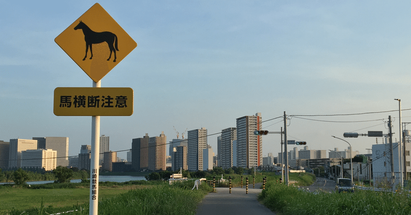 東京建築散歩。ラジオ日本の電波塔。と、小向トレセンのお馬さん。