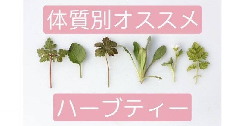 体質別オススメハーブティー 水紀華 Note