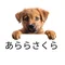 あららさくら