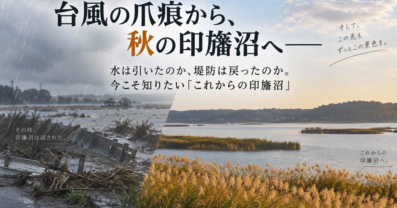 From the Scars of the Typhoon to the Autumn of Lake Inba—Has the water ...