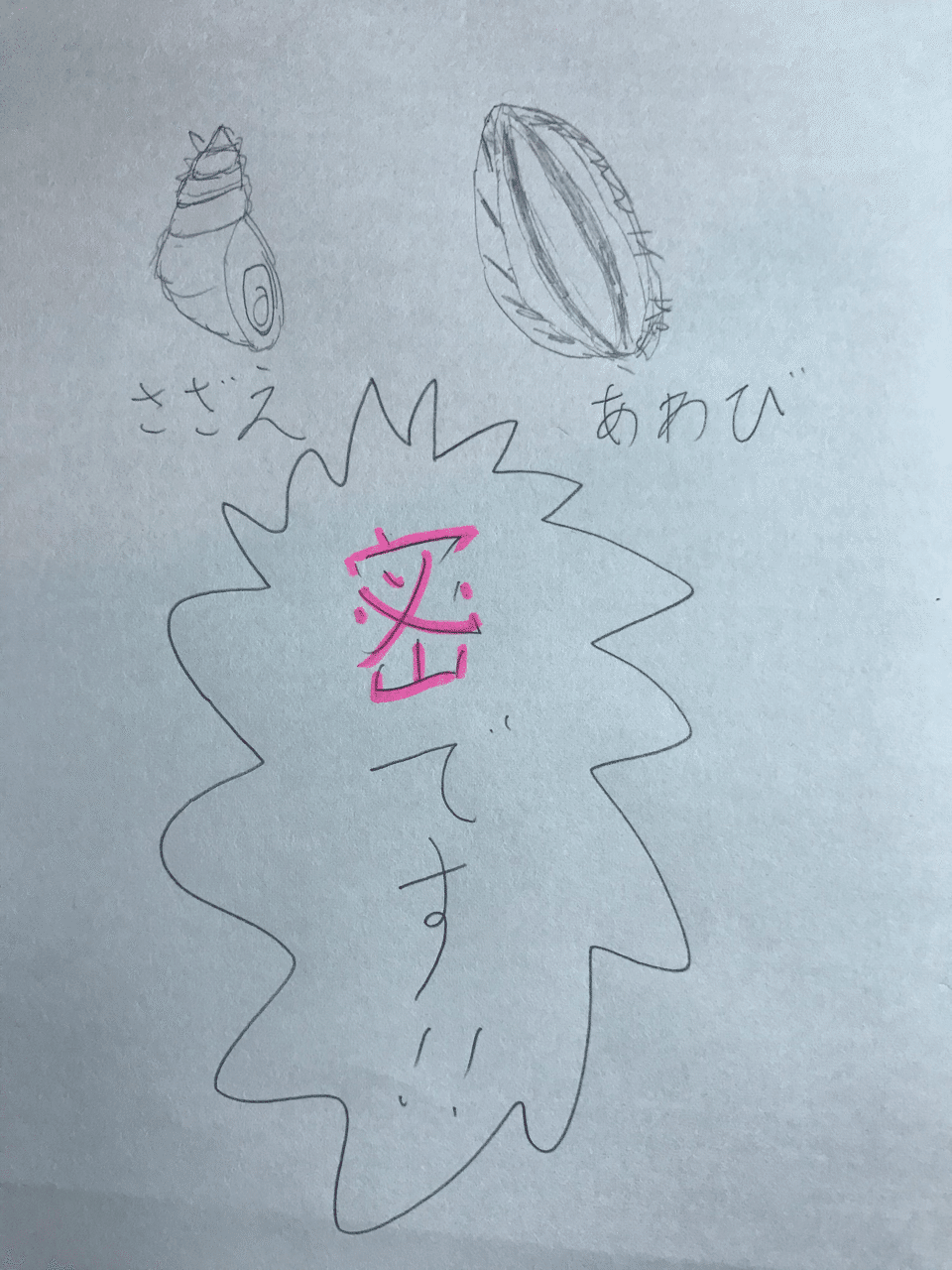 密漁はダメ 今日見てしまった 釣り 山阿呆の大学生 Note