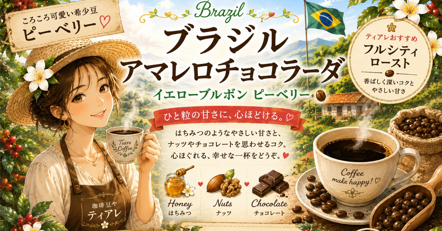ブラジル アマレロチョコラーダ イエローブルボン ピーベリー 】新しい
