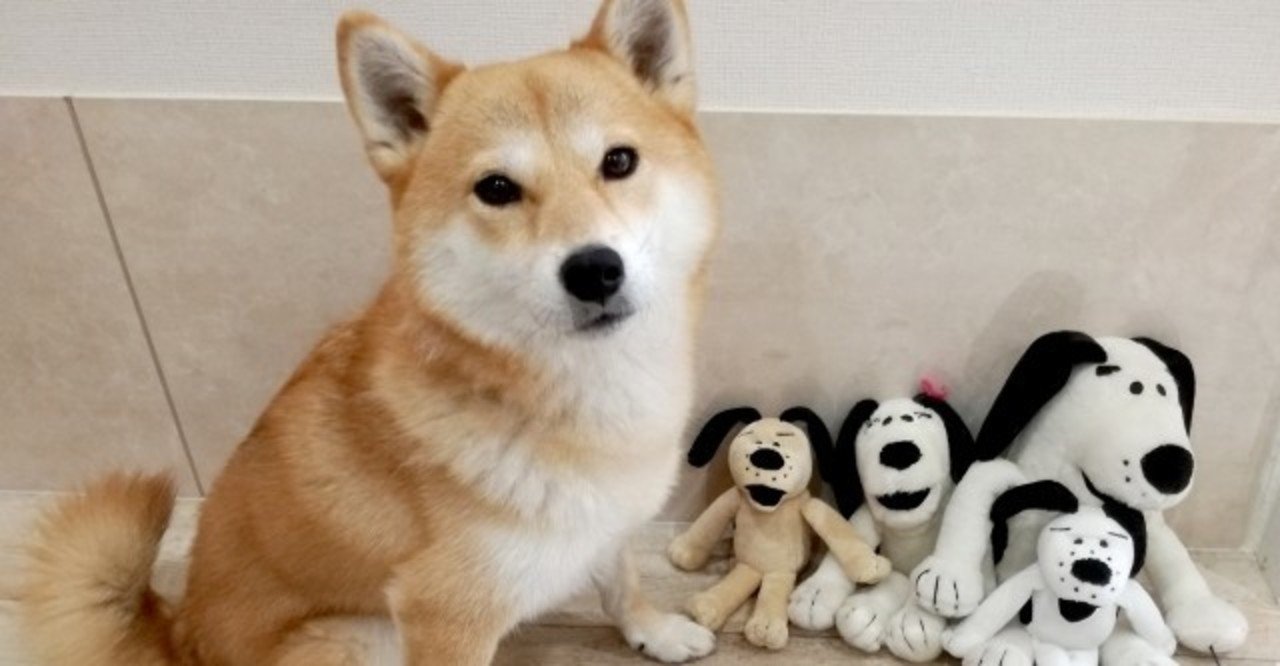 犬にリーダーとして認められるコツ 犬の飼い主サポートのplam Note