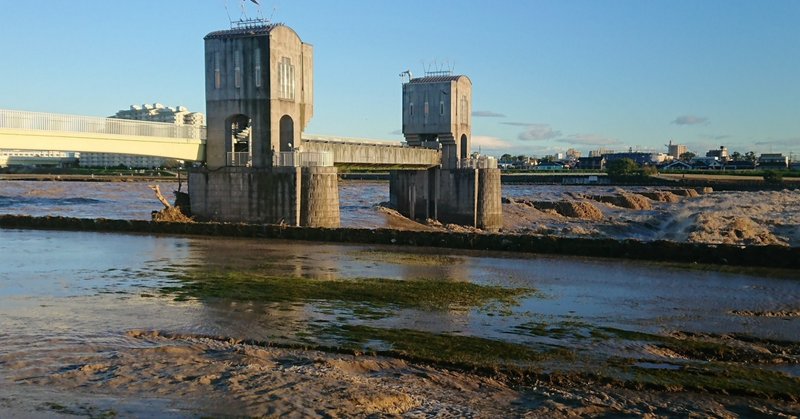 埼玉県の水害を考える