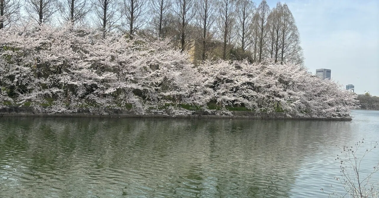 Professor Yamamoto, you can't just easily create a Waseda or Keio in ...