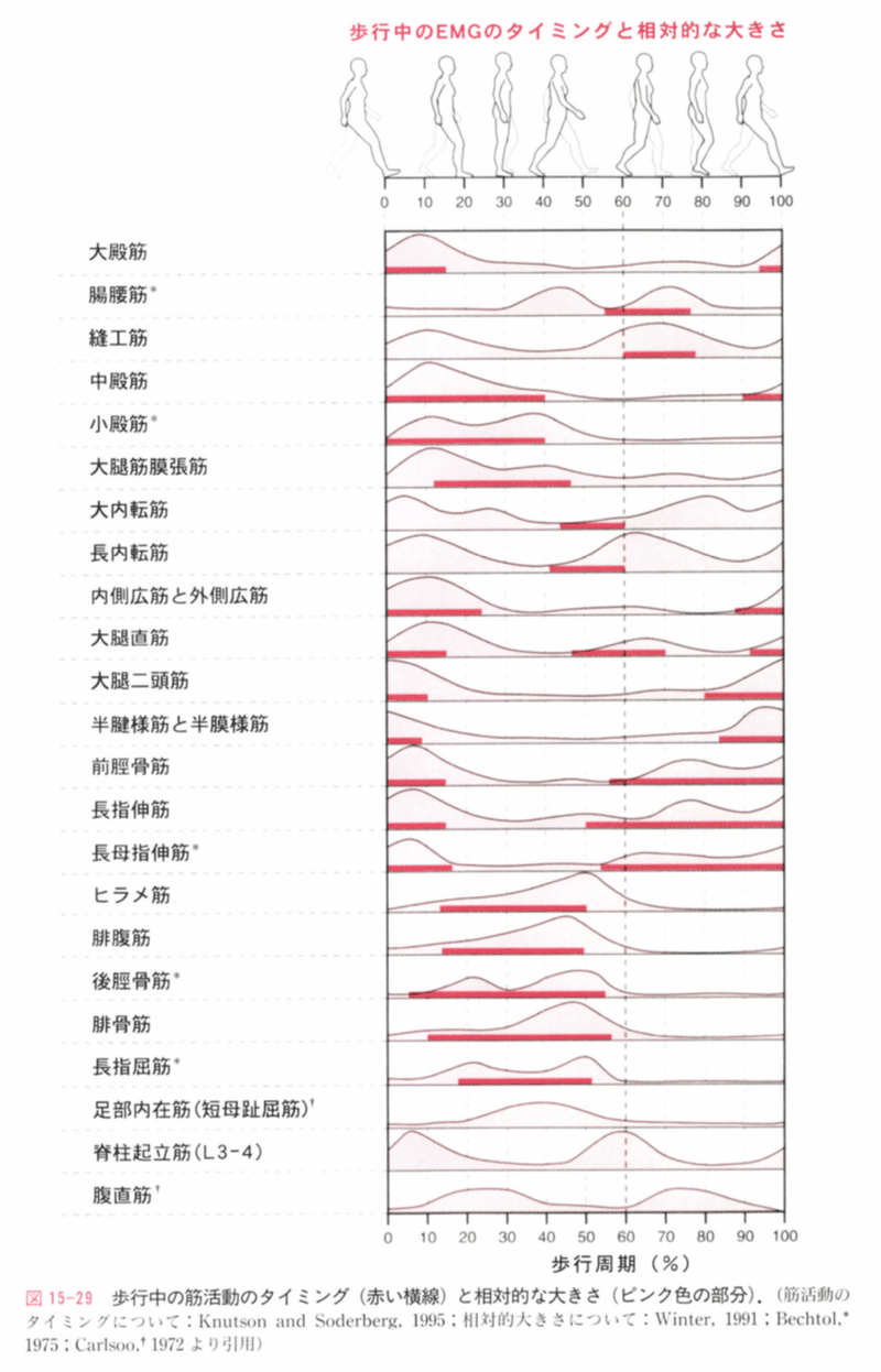 変形性股関節症と股関節外転筋 あんどぅnote Note 変形性股関節症と股関節外転筋 あんどぅnote Note