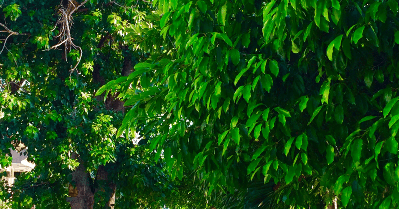 織豊政権と徳川の天下 竹仲法順 Note 織豊政権と徳川の天下 竹仲法順 Note