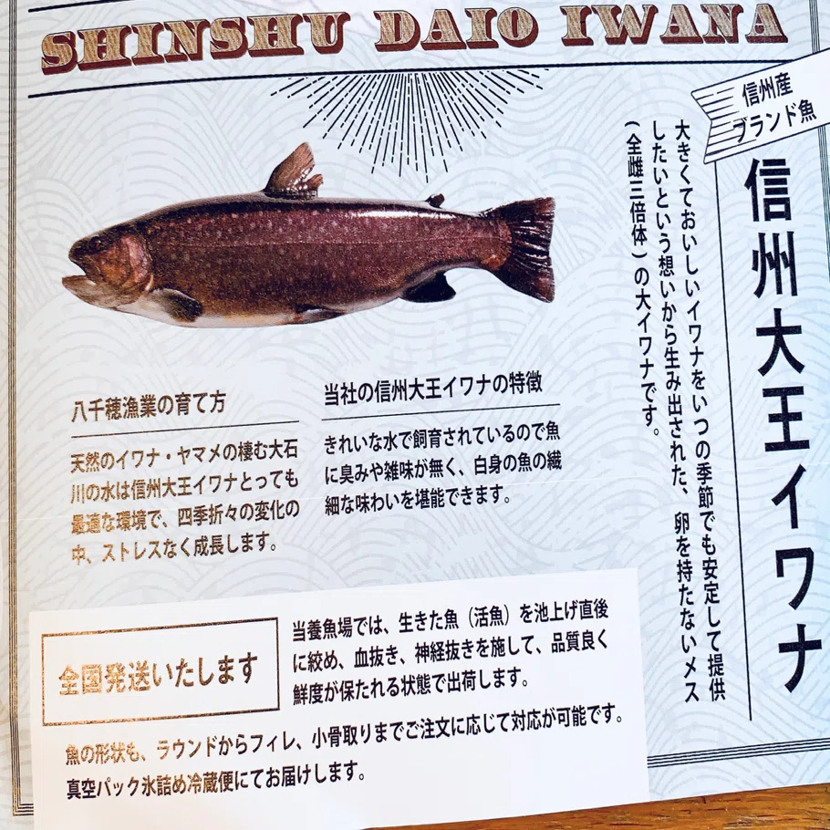 海なし県第二のブランド魚！『信州大王イワナ』のお刺身が美味しい
