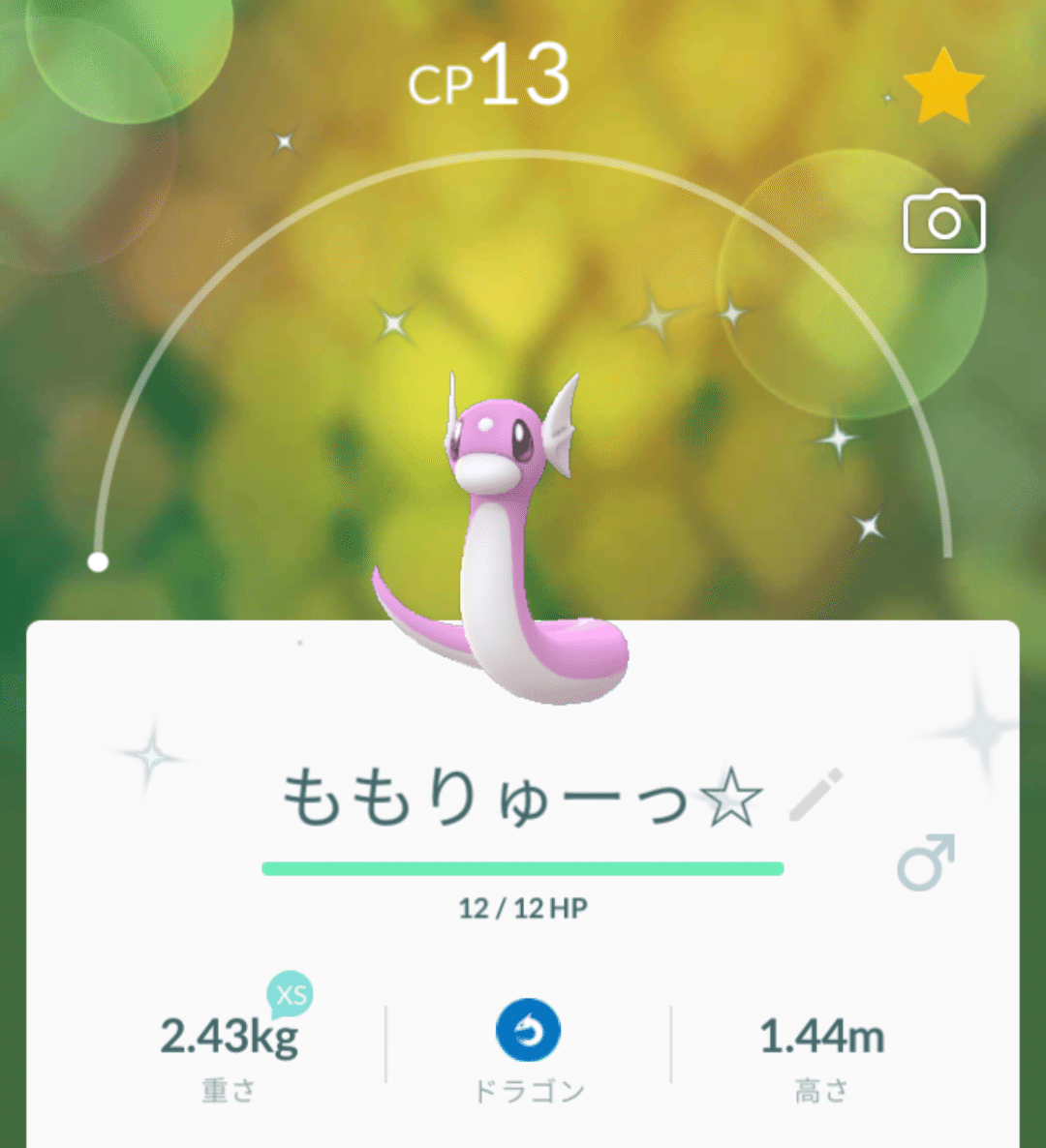 ドラゴンウィーク最終日 そして ゆゆ Note