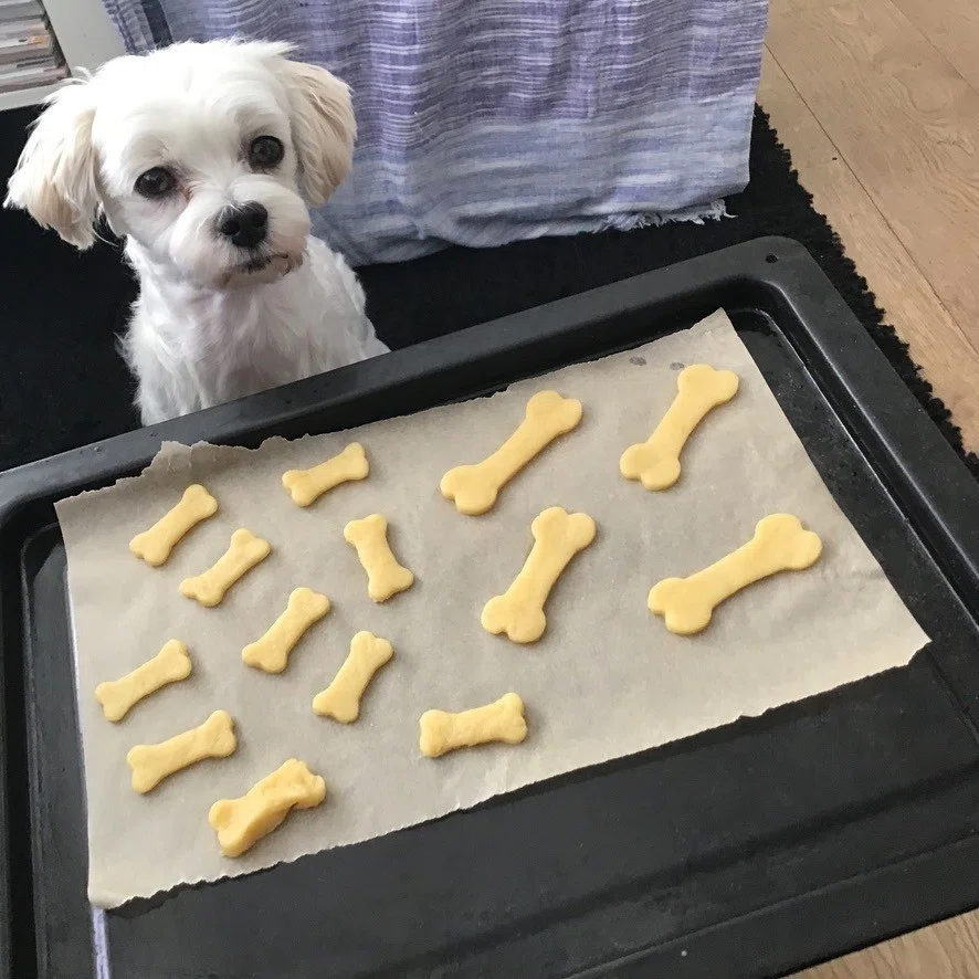 画像10