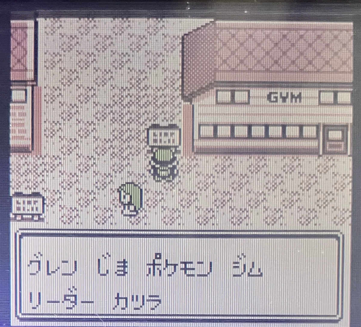 The First Generation Fire-Type Pokémon Are Too Favored｜平成のウォーラス