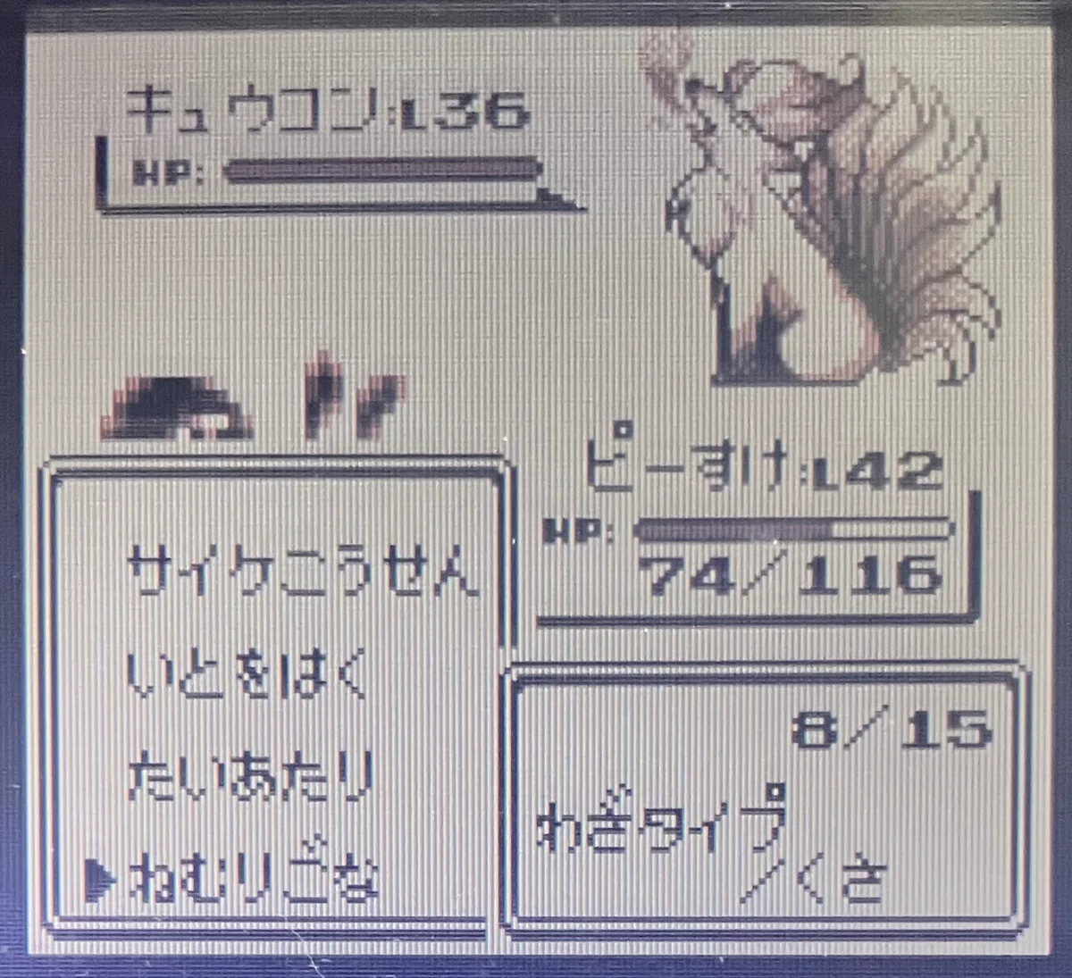 The First Generation Fire-Type Pokémon Are Too Favored｜平成のウォーラス