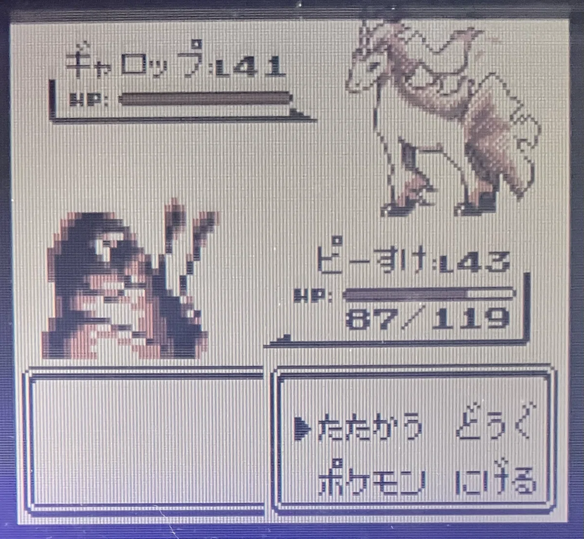 The First Generation Fire-Type Pokémon Are Too Favored｜平成のウォーラス