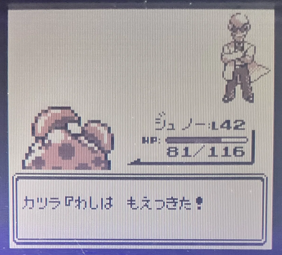 The First Generation Fire-Type Pokémon Are Too Favored｜平成のウォーラス