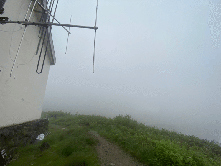 おはようございます。
今朝の室堂立山　　
20200809

雨弱し　風強し
気温低め　13度
雷注意報

午前中は待機
巡視で見つけた高山植物の整理

#グリーンパトロール

#室堂　#立山　#劔岳　#雄山　
#一の越　#浄土山　#天狗平　#雷鳥沢　#みくりが池 #地獄谷　#大汝山 #真砂岳　#北アルプス 