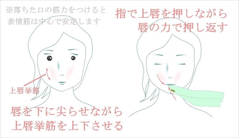 面長改善 目と口の間を短くする方法 お顔の整体師 戸塚哲春 Note 面長改善 目と口の間を短くする方法 お顔の整体師 戸塚哲春 Note