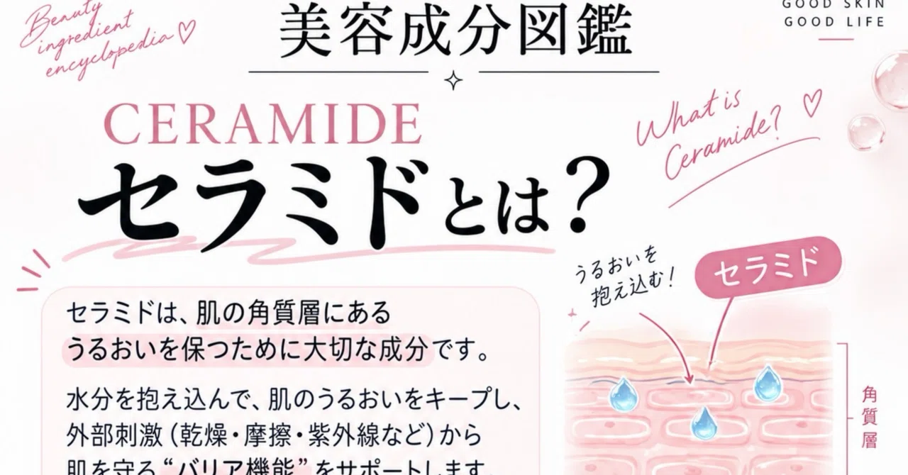 💧 A Must-Read for Dry Skin ♡ What Exactly is Ceramide?｜りむ｜かわいい記録🎀🩷