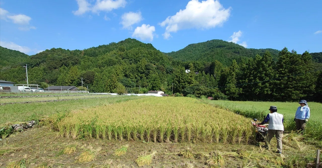 Project Member of 'Creating Landscapes' | Self-Introduction: Sota ...