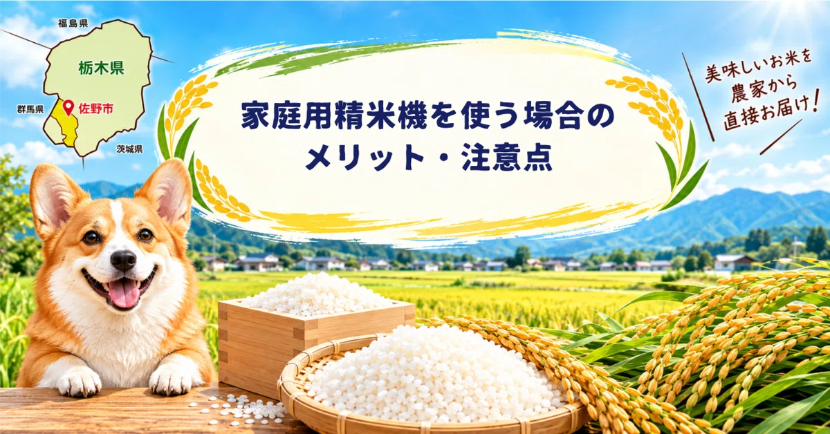 [No. 85] Benefits and Precautions When Using a Home Rice Milling ...