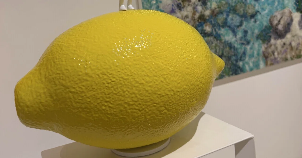 きになる大きなレモン 大きなレモンの木の下で🍋🌴｜ハイエナナ｜私から食を抜いたら