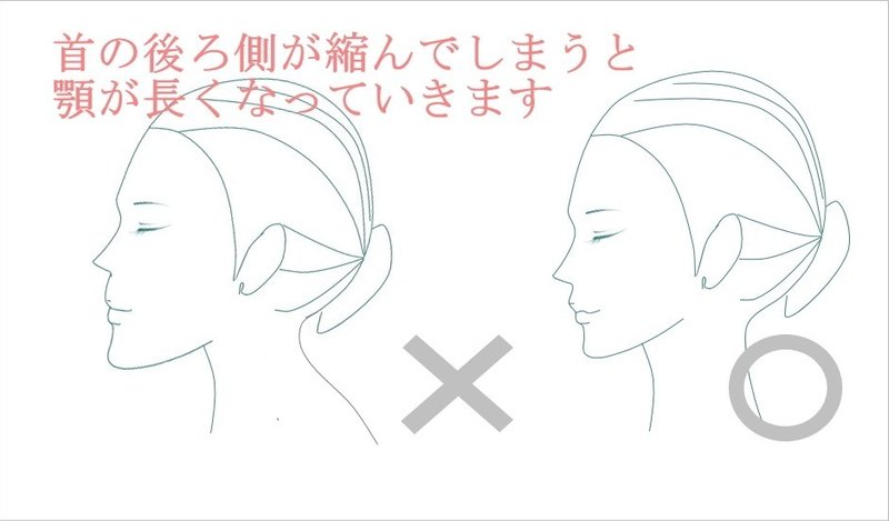 顔が長い自分でなおす方法 姿勢改善と表情筋トレーニング お顔の整体師 戸塚哲春 Note 顔が長い自分でなおす方法 姿勢改善と表情筋トレーニング お顔の整体師 戸塚哲春 Note