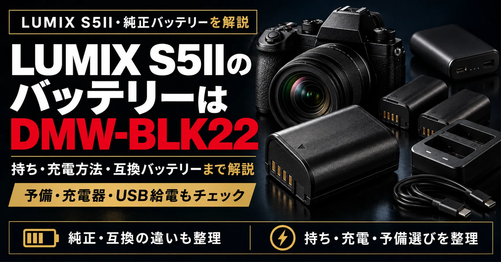 LUMIX S5IIのバッテリーはDMW-BLK22｜持ち・充電方法・互換バッテリー