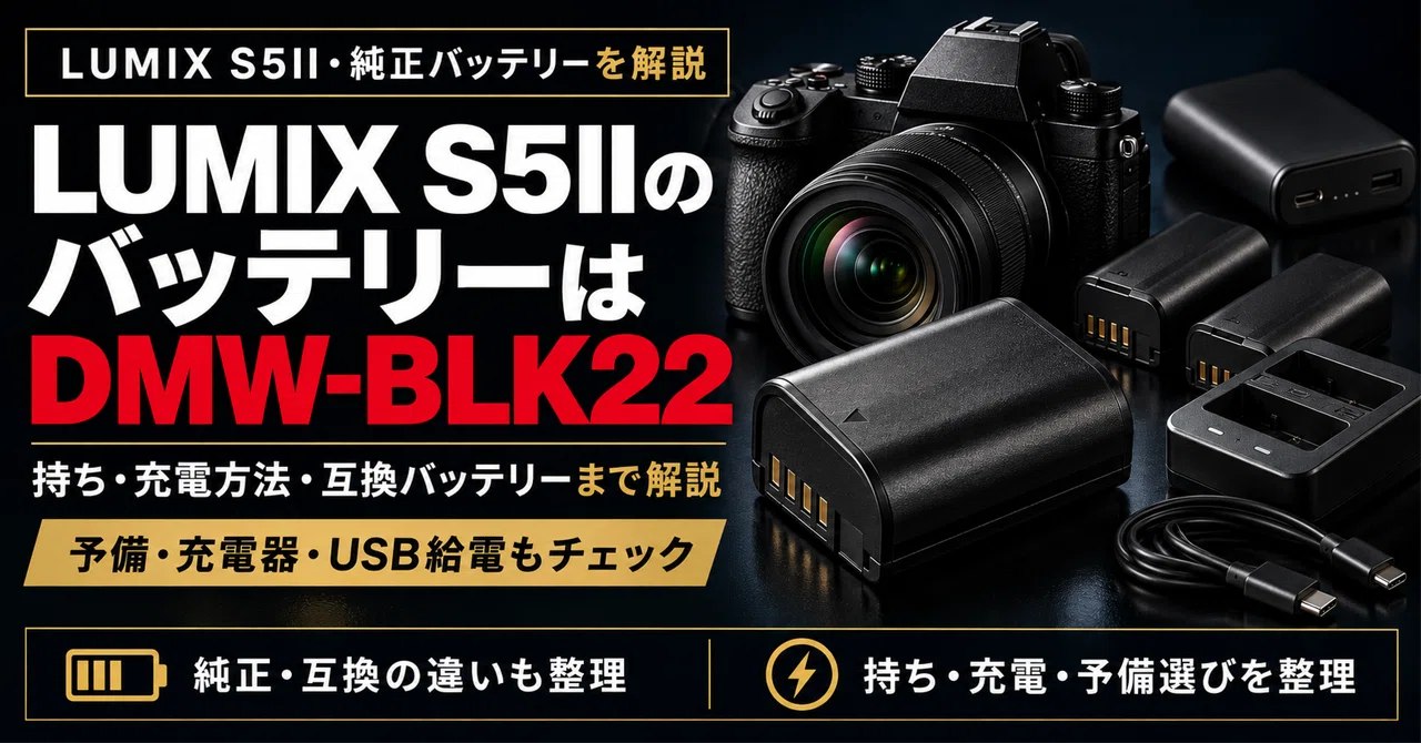 LUMIX S5IIのバッテリーはDMW-BLK22｜持ち・充電方法・互換バッテリー