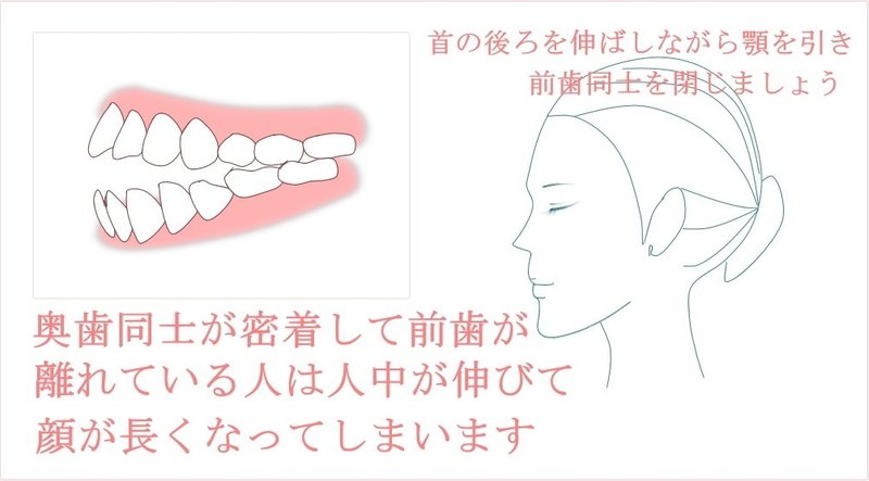 顔が長い自分でなおす方法 姿勢改善と表情筋トレーニング お顔の整体師 戸塚哲春 Note 顔が長い自分でなおす方法 姿勢改善と表情筋トレーニング お顔の整体師 戸塚哲春 Note