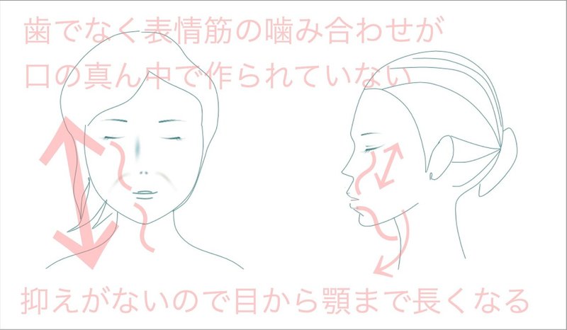 顔が長い自分でなおす方法 姿勢改善と表情筋トレーニング お顔の整体師 戸塚哲春 Note 顔が長い自分でなおす方法 姿勢改善と表情筋トレーニング お顔の整体師 戸塚哲春 Note