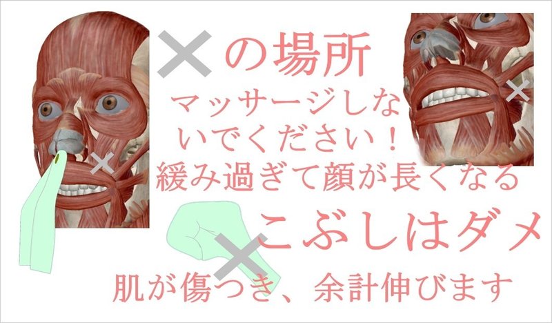 顔が長い自分でなおす方法 姿勢改善と表情筋トレーニング お顔の整体師 戸塚哲春 Note 顔が長い自分でなおす方法 姿勢改善と表情筋トレーニング お顔の整体師 戸塚哲春 Note