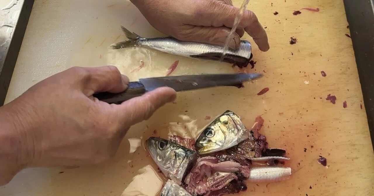 My Daily Morning Routine of Washing Sardines｜iwashitei104