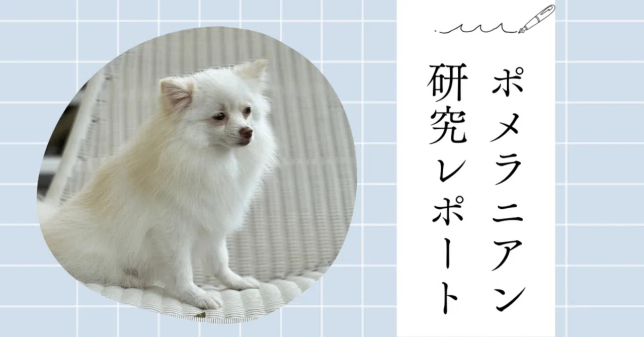 Therapy Dog in the Town of Note. [My Beloved Dog Edition] Family Chair ...
