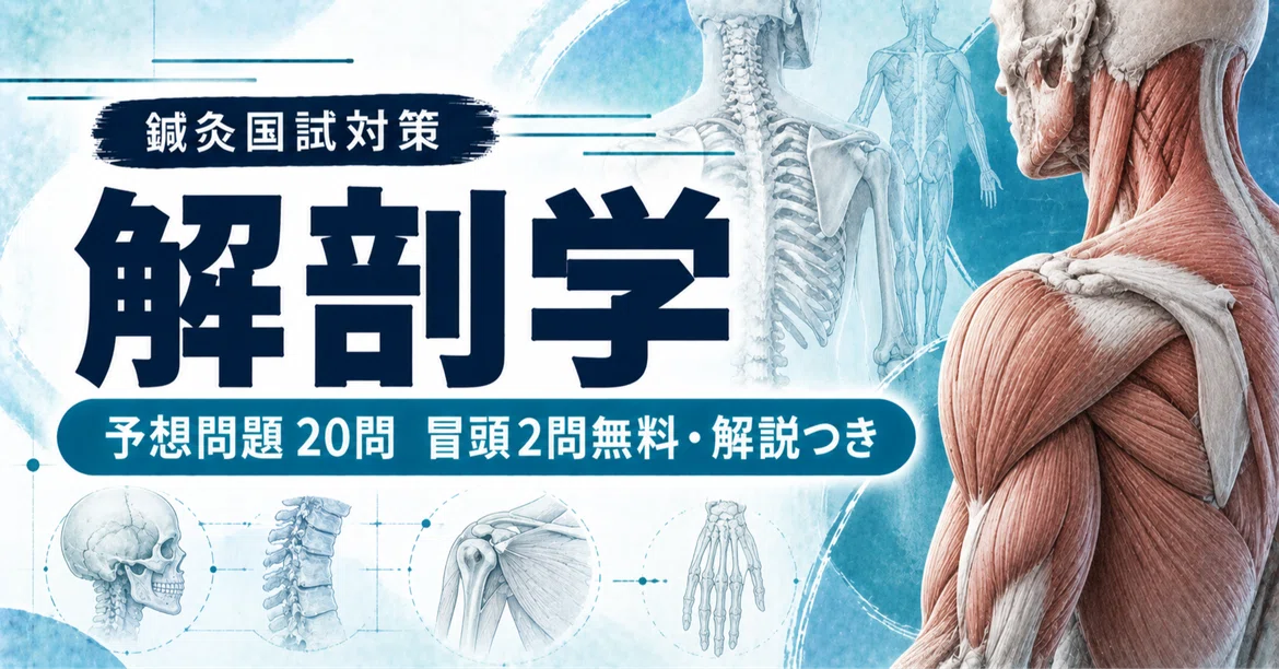 [Acupuncture and Moxibustion National Exam] Anatomy: 20 Predicted ...