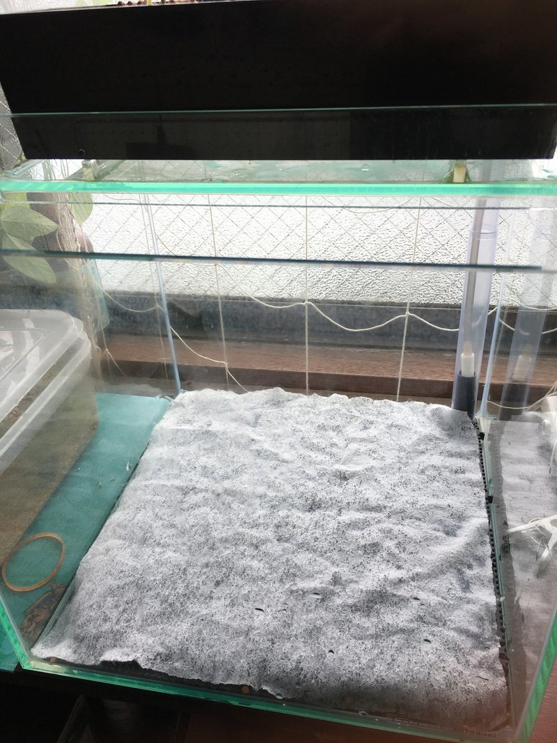 No 41 底面フィルターをアクアポニックスに アクアポニックス 水槽初心者 Note
