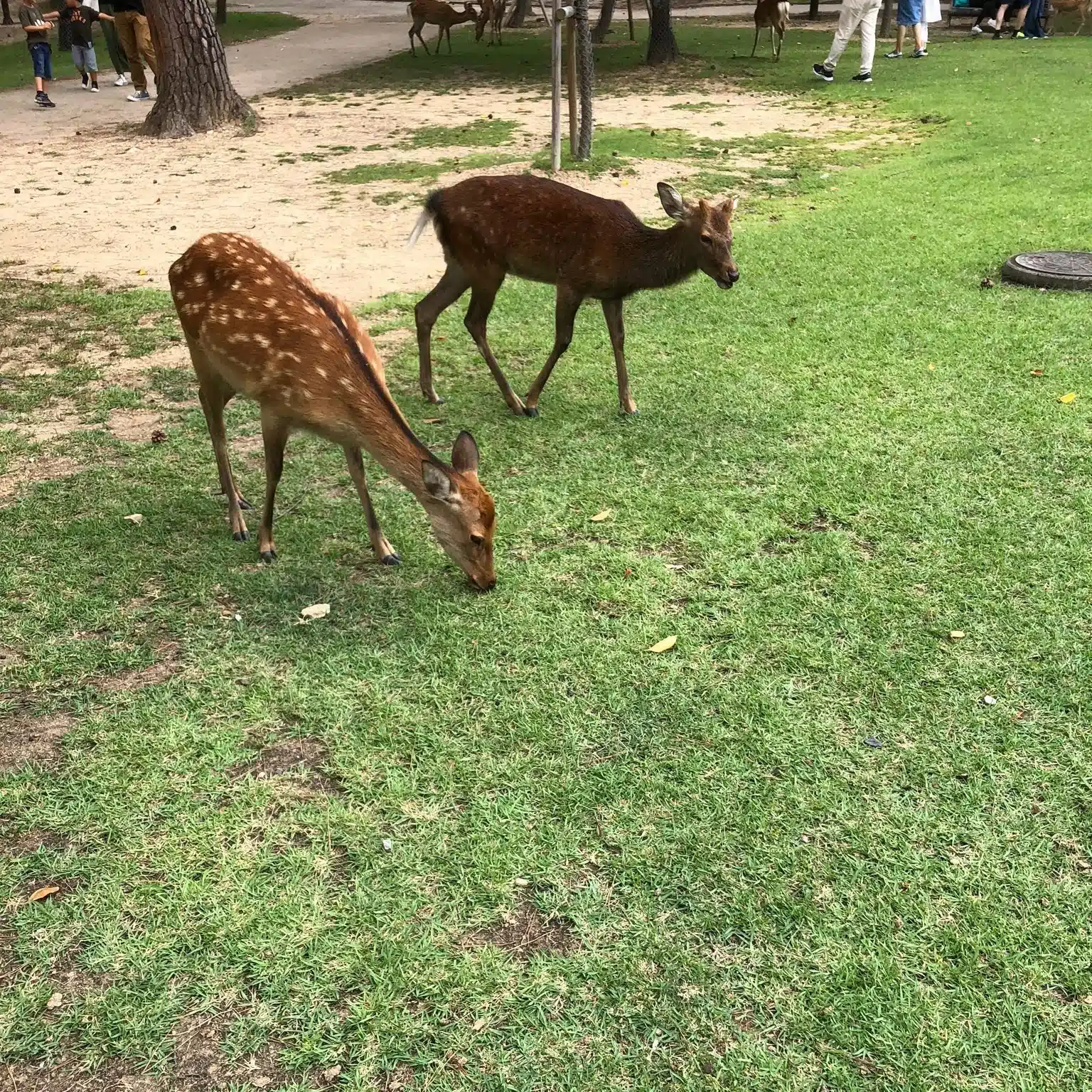 アラサー凡人の再起録