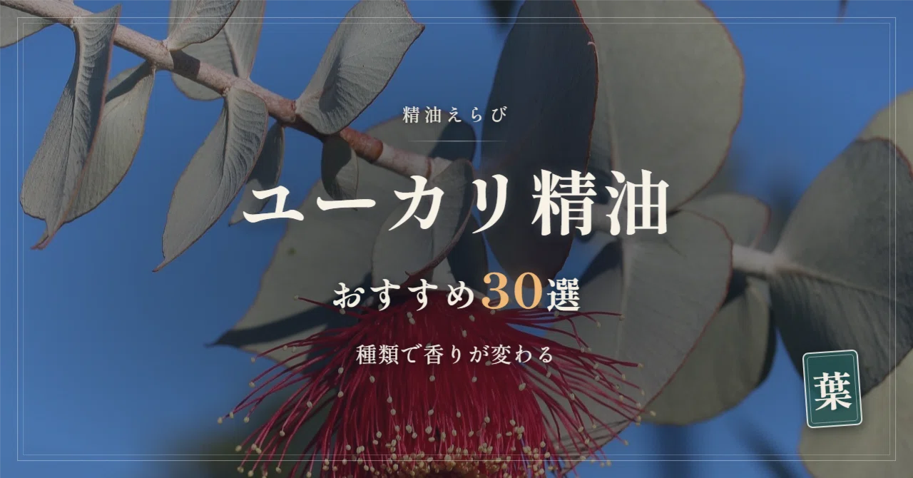 ユーカリ精油おすすめ30選｜グロブルスとラディアータの違いがわかる