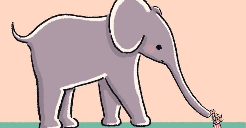 【スリランカ女子一人旅⑧】ほんとに象だらけの象の孤児院