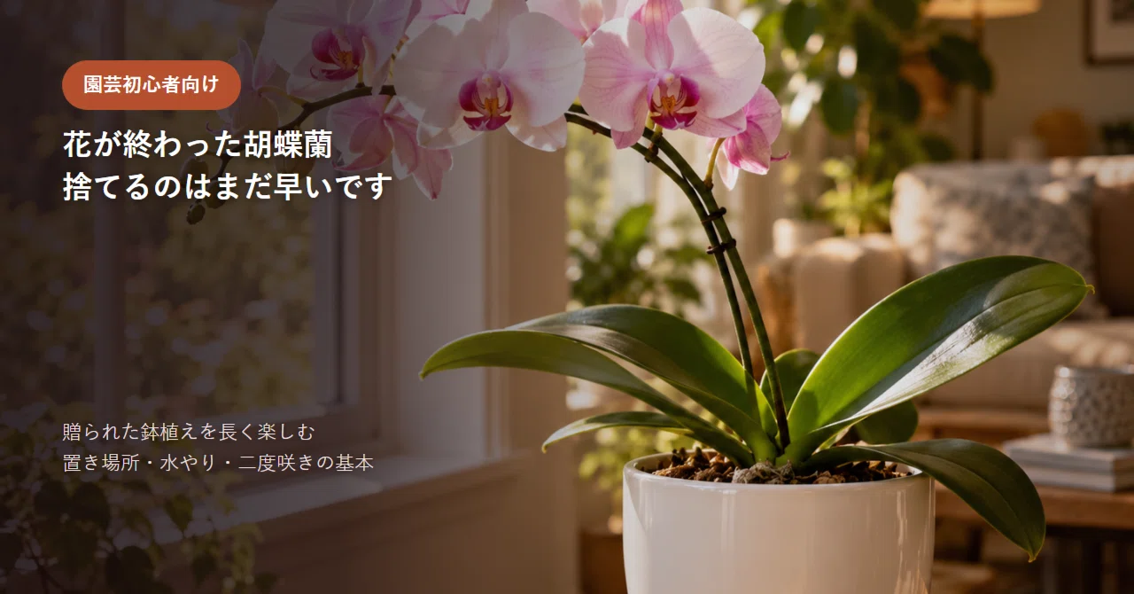 Phalaenopsis orchids after the flowers have faded: It is too early to ...